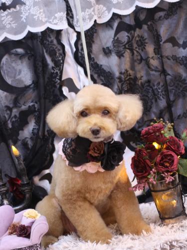 20231012モンチちゃん